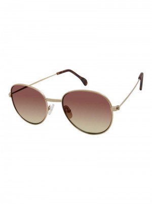 Robert Graham Acklins Sunglasses Gold | 157290-BNF