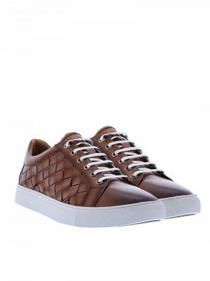 Robert Graham Appaloosa Sneakers Cognac | 132468-TGM