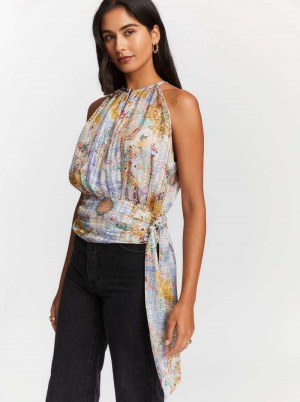 Robert Graham Ava Blouse Multi | 642517-VRI
