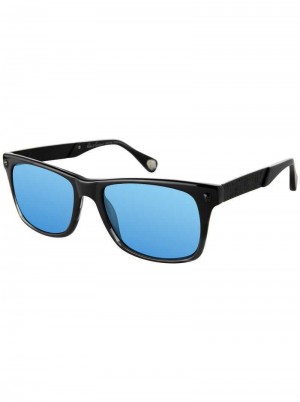 Robert Graham Breck Sunglasses Schwarz | 187450-WSO