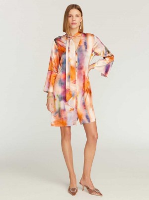 Robert Graham Brenna Dress Multi | 043687-FBV