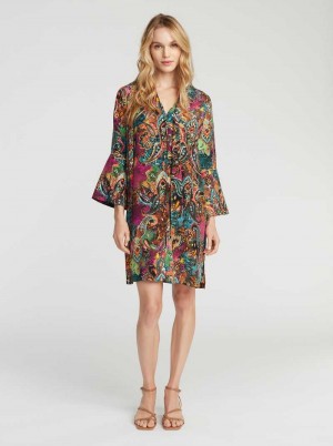 Robert Graham Brenna Dress Multi | 147693-AFK
