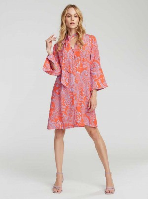 Robert Graham Brenna Dress Rosa | 168952-RXV