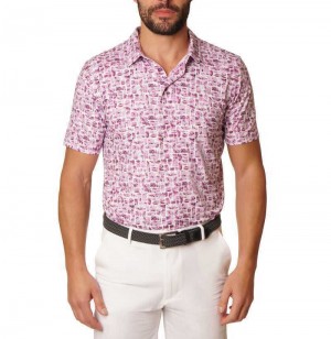 Robert Graham Brockman Polo Berry | 297045-RUB