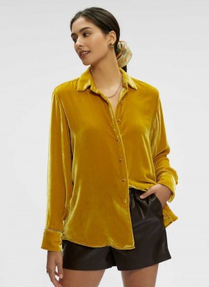Robert Graham Carrie Shirt Gold | 603741-HLU