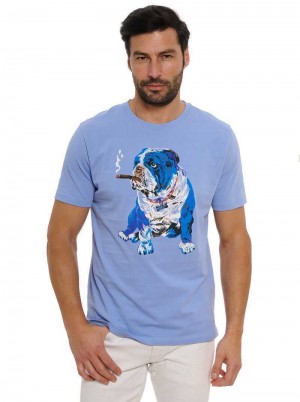 Robert Graham Cigar Graham T-shirt Periwinkle | 367185-FKD
