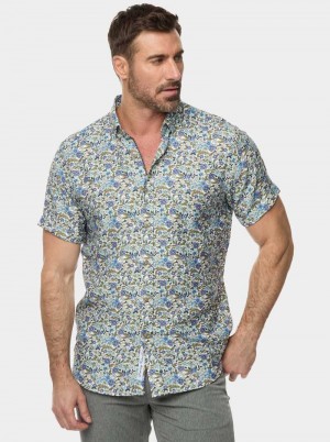 Robert Graham Craso Short Sleeve Button Down Shirt Multi | 937602-XGV