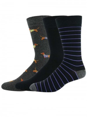 Robert Graham Dachshund 3 Pack Socks Multi | 192560-KGL