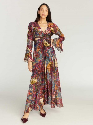 Robert Graham Diana Dress Multi | 143807-EJX
