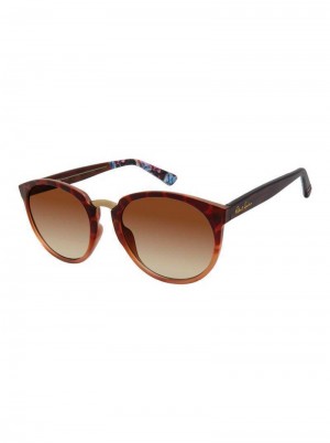 Robert Graham Exuma Sunglasses Tortoise | 720856-PXZ