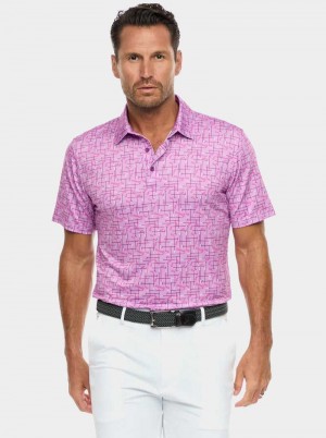 Robert Graham Iron Play Knit Polo Berry | 890451-HAQ