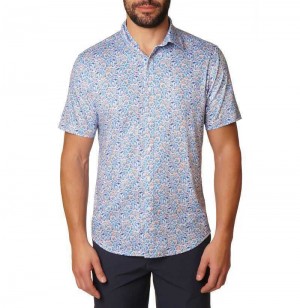 Robert Graham Kotor Short Sleeve Knit Shirt Multi | 890153-ZJB
