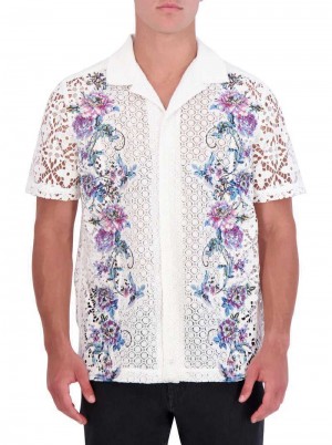Robert Graham Limited Edition Vine Vista Short Sleeve Button Down Shirt Multi | 326798-VZY