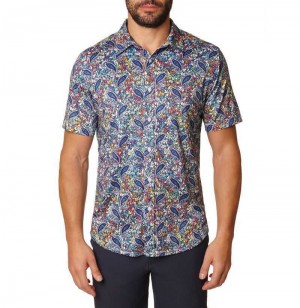 Robert Graham Padova Short Sleeve Knit Shirt Multi | 916824-ZHQ