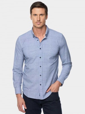 Robert Graham Renley Long Sleeve Button Down Shirt Teal | 029453-WJO