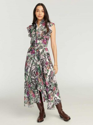 Robert Graham Sadie Dress Multi | 546032-LTH