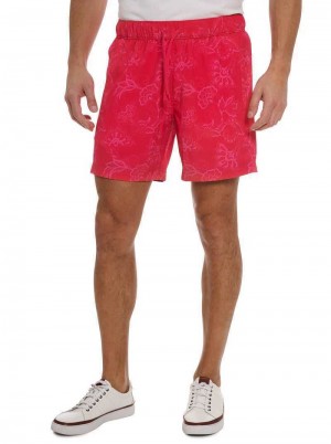 Robert Graham Sator Swim Magenta | 421576-VBD