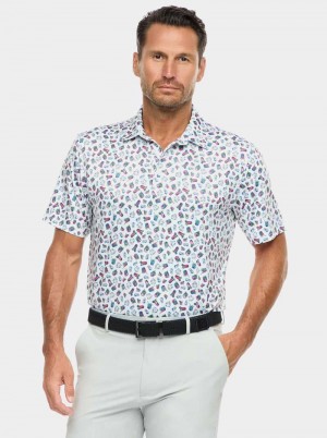 Robert Graham Shuffle N Shake Short Sleeve Knit Polo Magenta | 768024-QDR