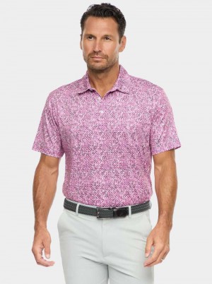Robert Graham Torin Short Sleeve Knit Polo Navy | 932604-YTI